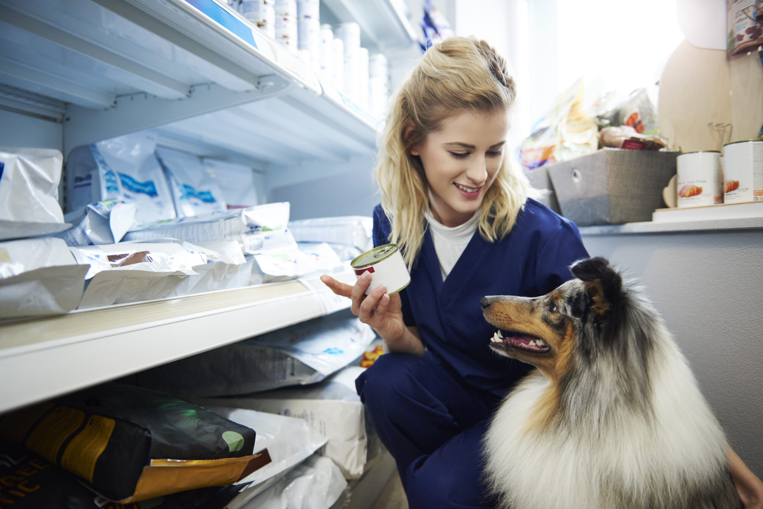 Young woman taking food for a dog from shelf in veterinary surgery